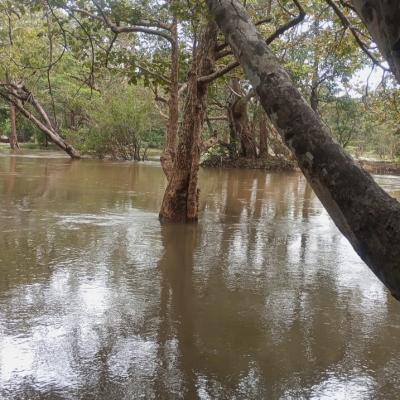 Whatsapp Image 2024 03 23 At 1.18.42 Pm