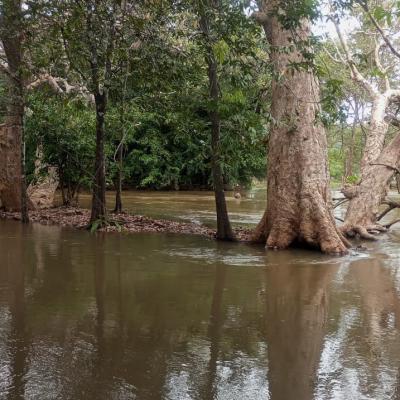 Whatsapp Image 2024 03 23 At 1.18.43 Pm