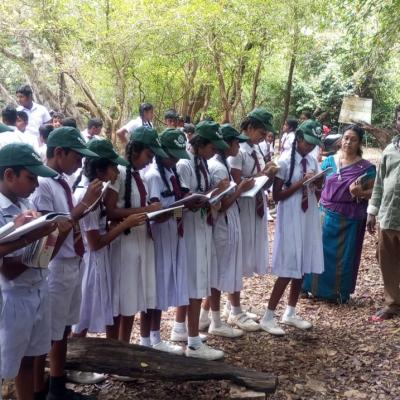 පරිසර නියමු ව්‍යාප්තිය 