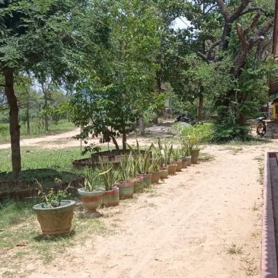 7d38b4da 07d0 497d 8d54 1336f1b5ff73