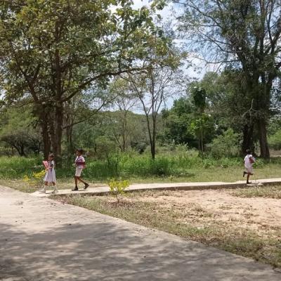 888cc9a9 9f55 4eaa A2a7 A5fdbd865dac