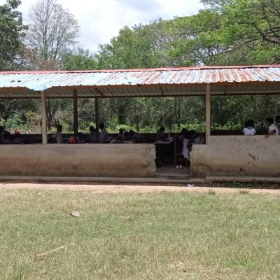 A2a71512 38cf 47ed A33c 005657f79ab8